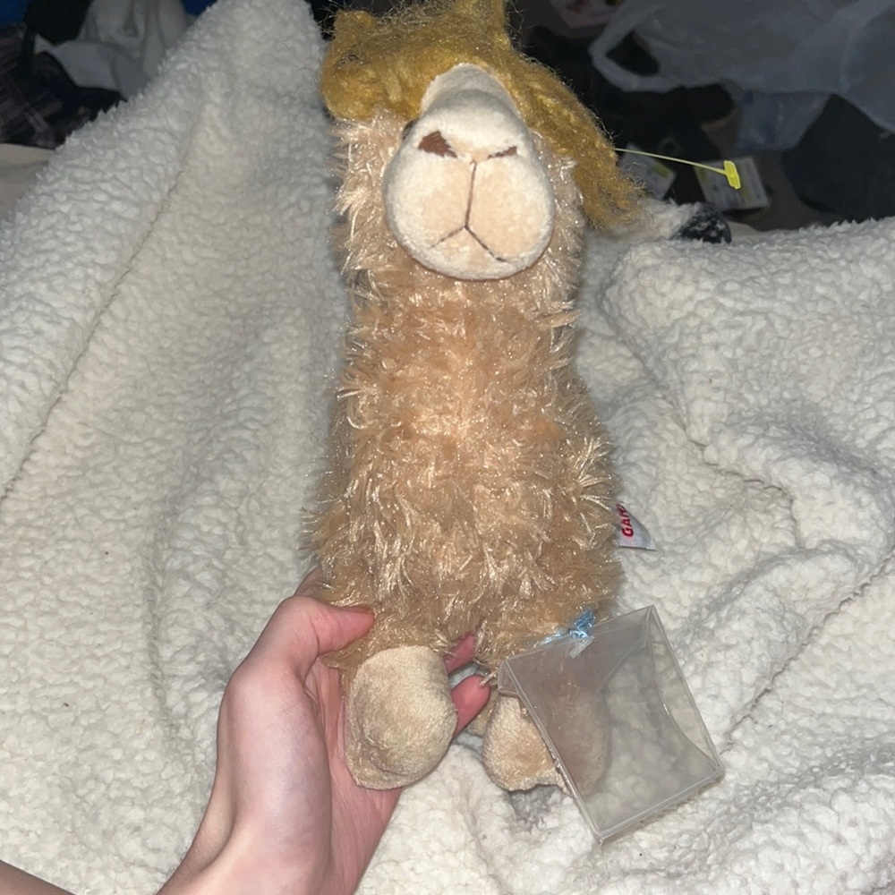 Alpaca Webkinz